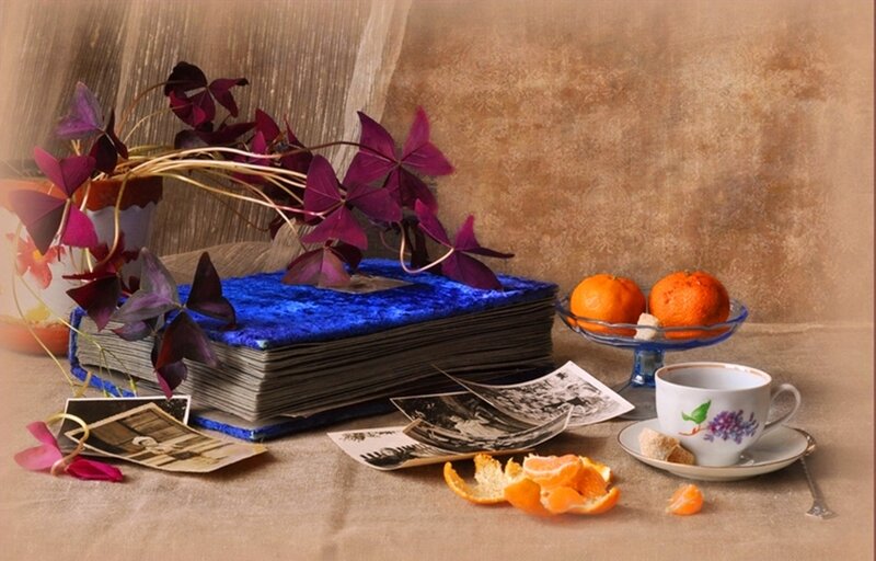 Still Life with Book and Oranges