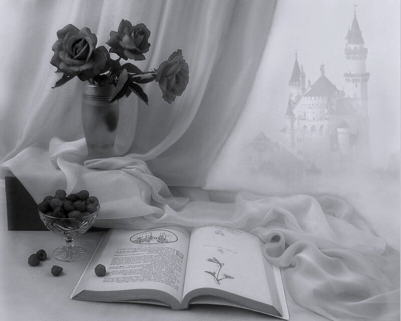 Still Life with Book and Roses — Black