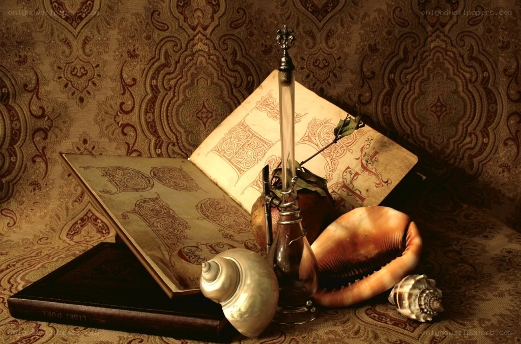 Still life with book and shells