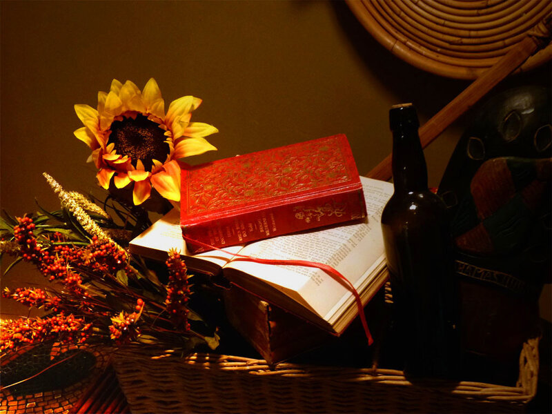Still life with books and sunflower
