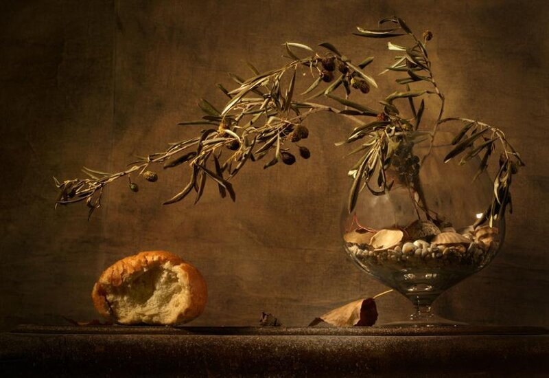 Still life with bread and olive branch