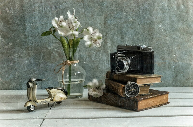 Still Life with Camera and Flowers