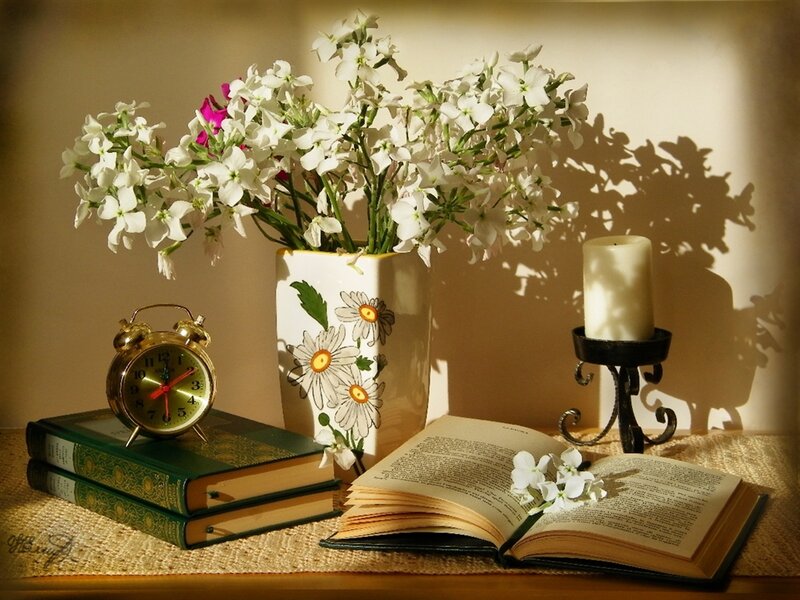 Still Life with Flowers and Books — White