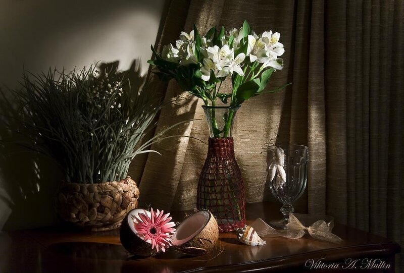 Still Life with Flowers and Coconut