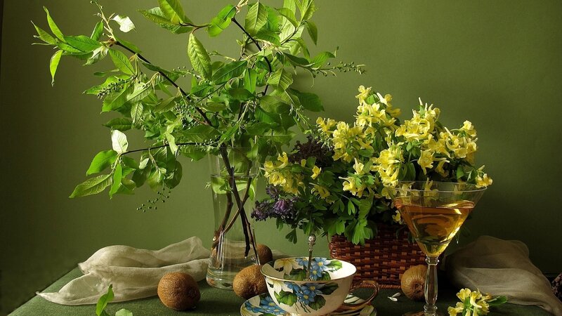 Still Life with Flowers and Fruit — Green, Serene, Afternoon, Photograph