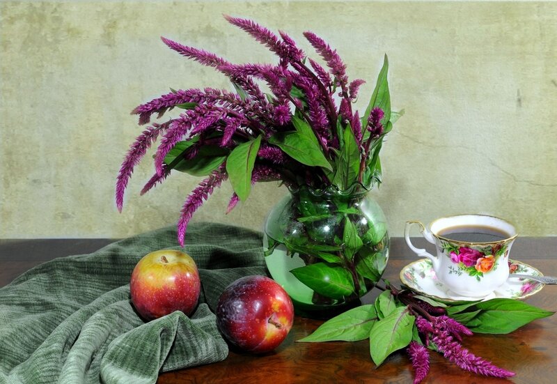 Still Life with Flowers and Fruit — Purple, Calm