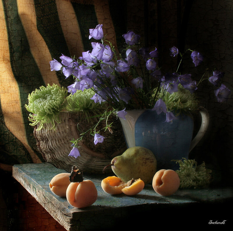 Still Life with Flowers and Fruit — Purple, Dramatic