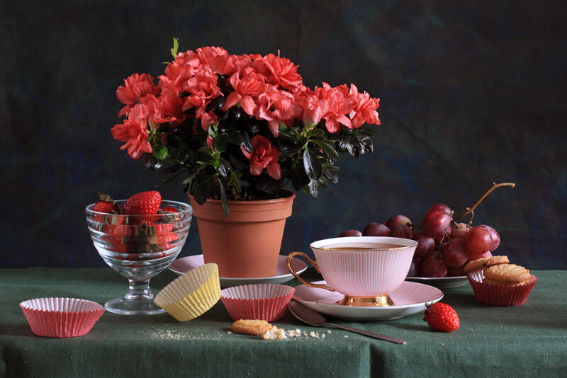 Still Life with Flowers and Fruit — Red, Calm, Photograph, Tea Cup