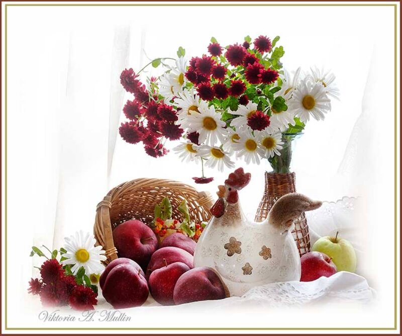 Still Life with Flowers and Fruit — White, Serene, Afternoon, Photograph