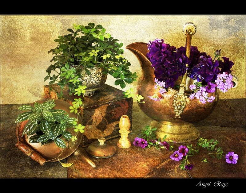 Still Life with Flowers and Plants