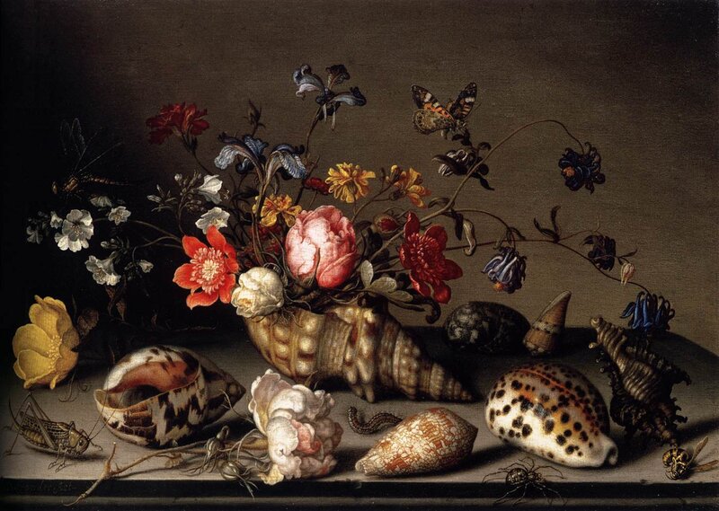 Still Life with Flowers and Shells