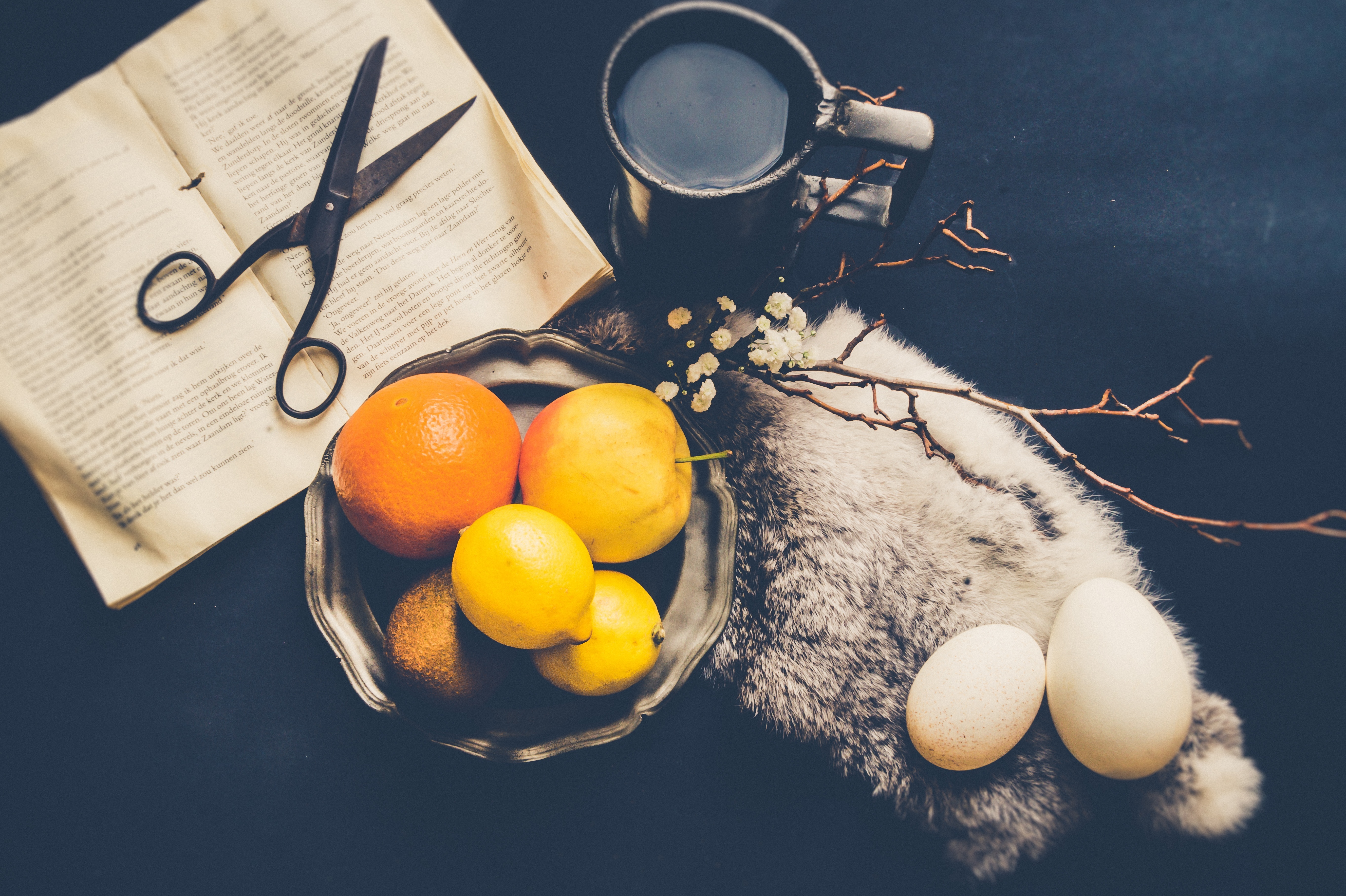 Still life with fruit and book