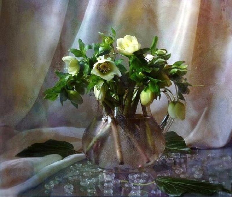 Still life with hellebore flowers