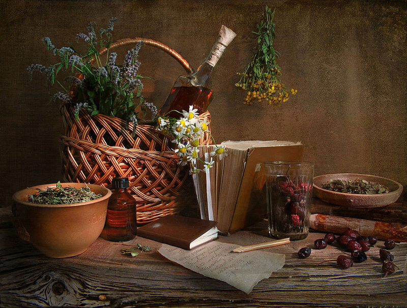 Still Life with Herbs and Book