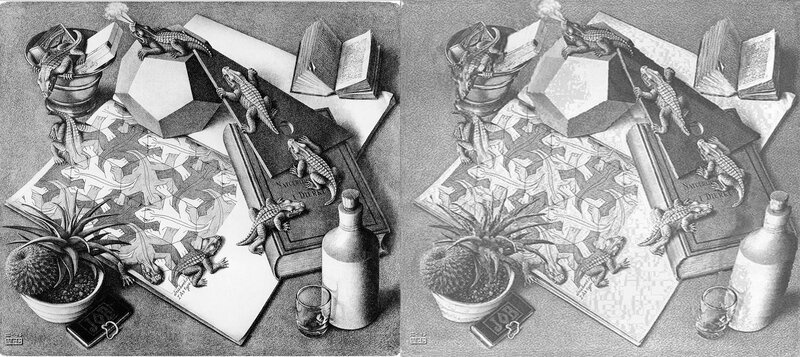 Still life with lizards
