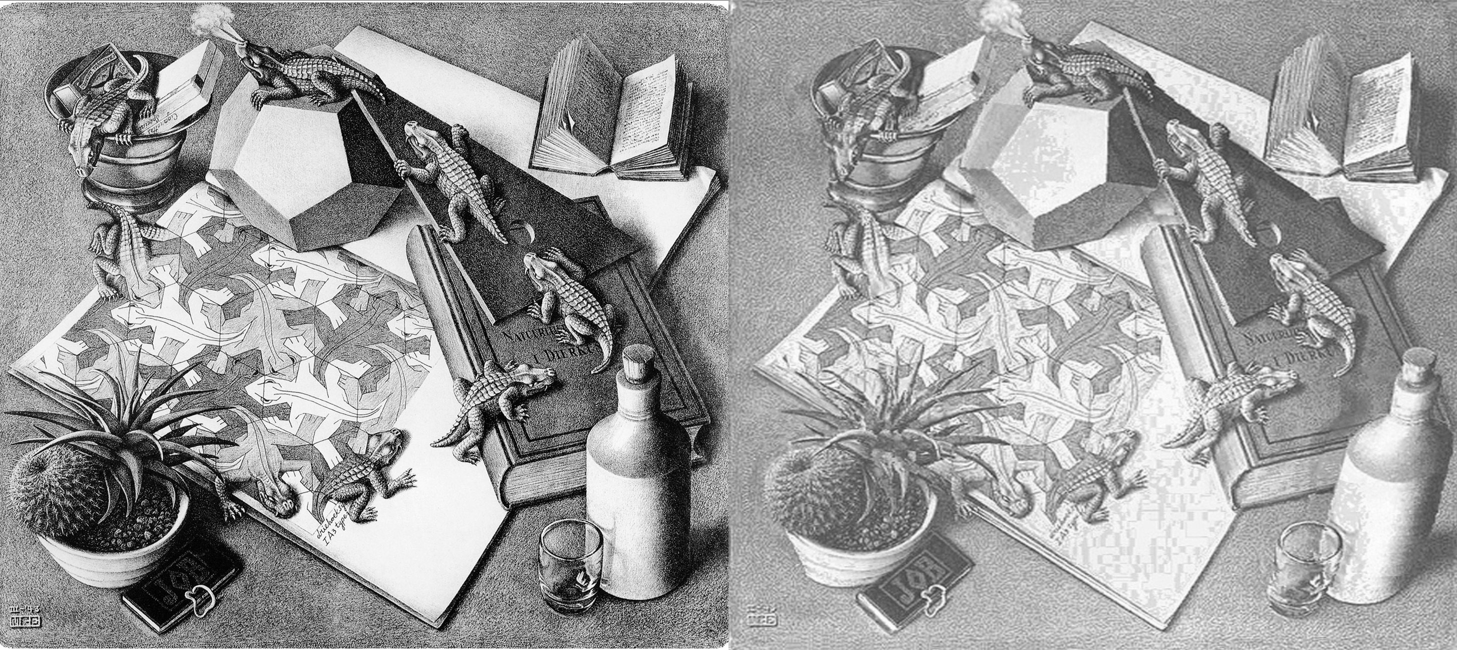 Still life with lizards