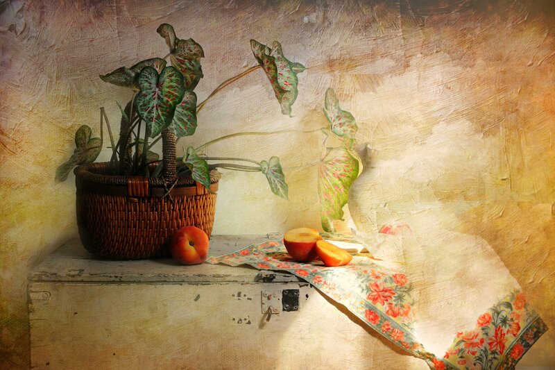 Still life with plant and fruit