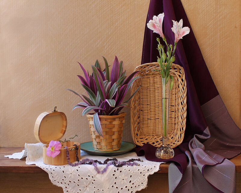 Still Life with Plants