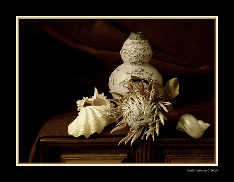 Still Life with Shells and Vase