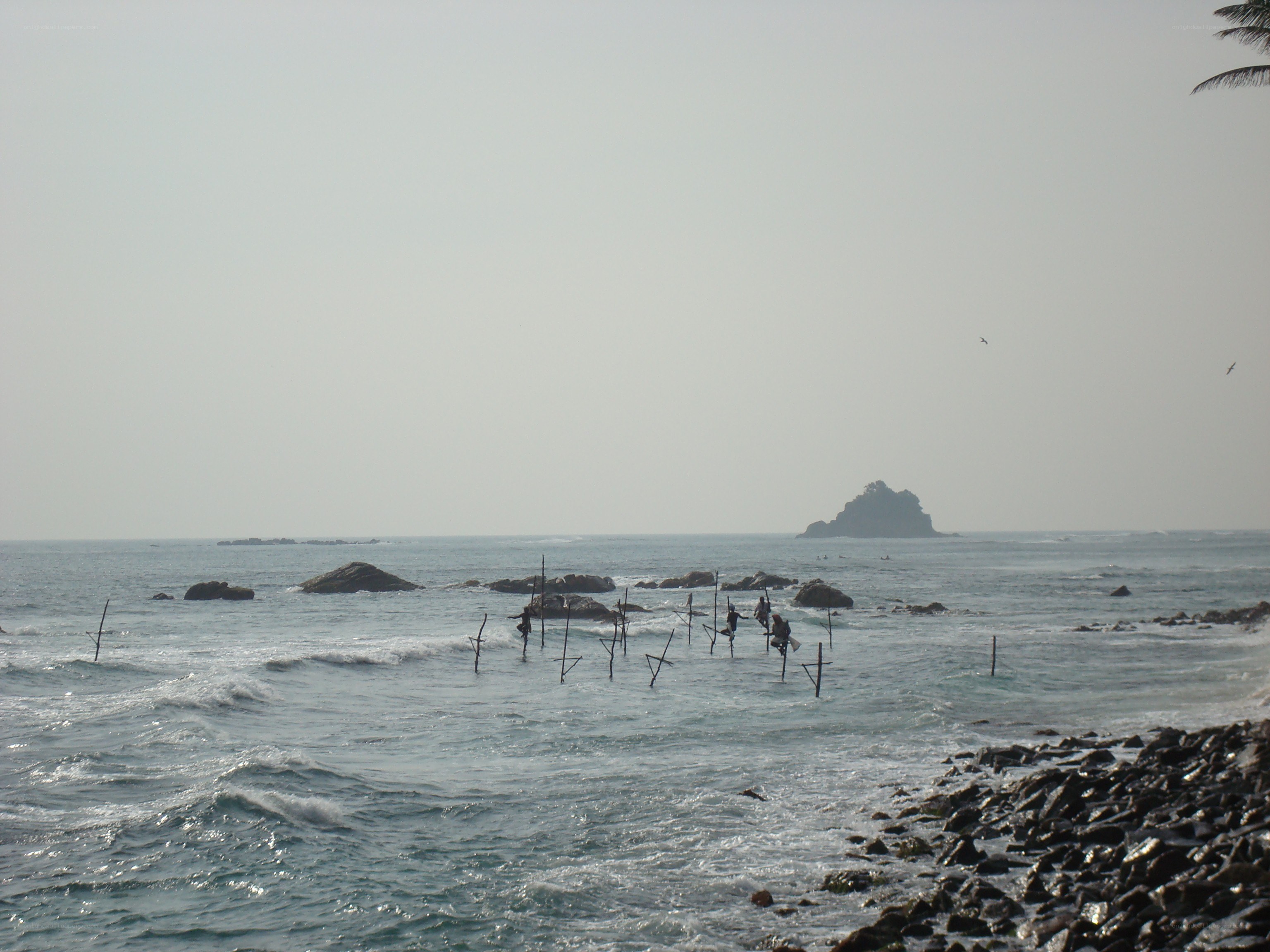 Stilt fishermen at sea