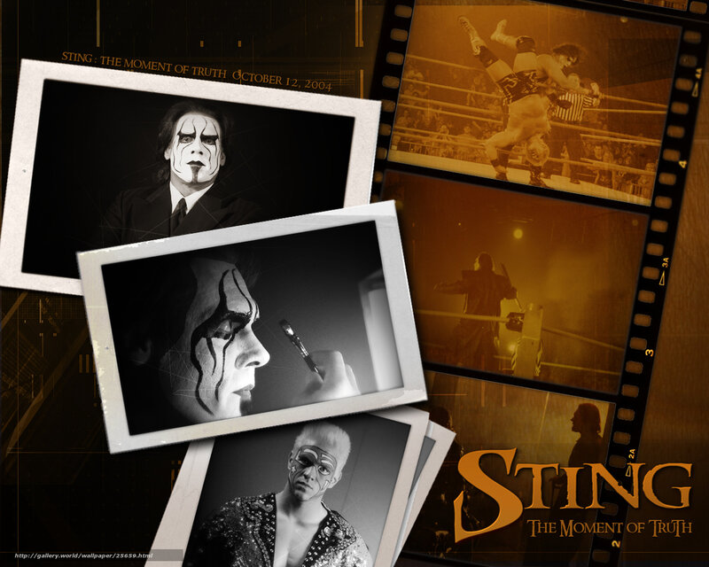 Sting: The Moment of Truth