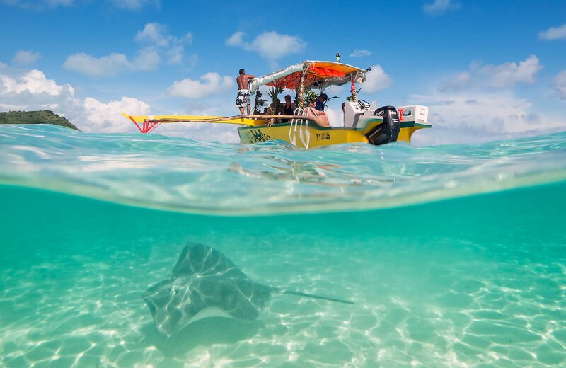 Stingray Swimming Underwater — Blue, Serene