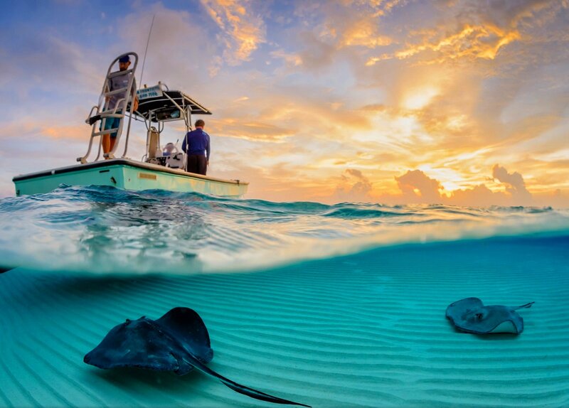 Stingrays Swimming Underwater — Blue