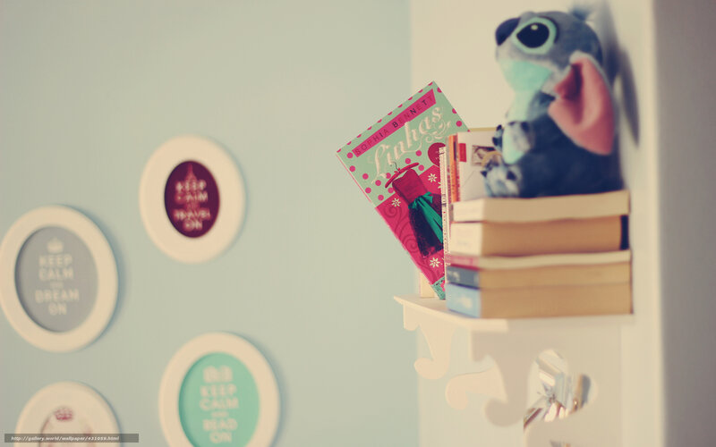 Stitch plush on bookshelf