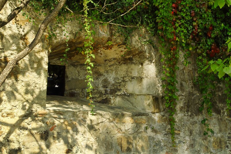 Stone Alcove with Vines