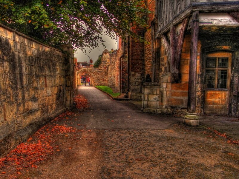 Stone Alley with Autumn Leaves — Brown