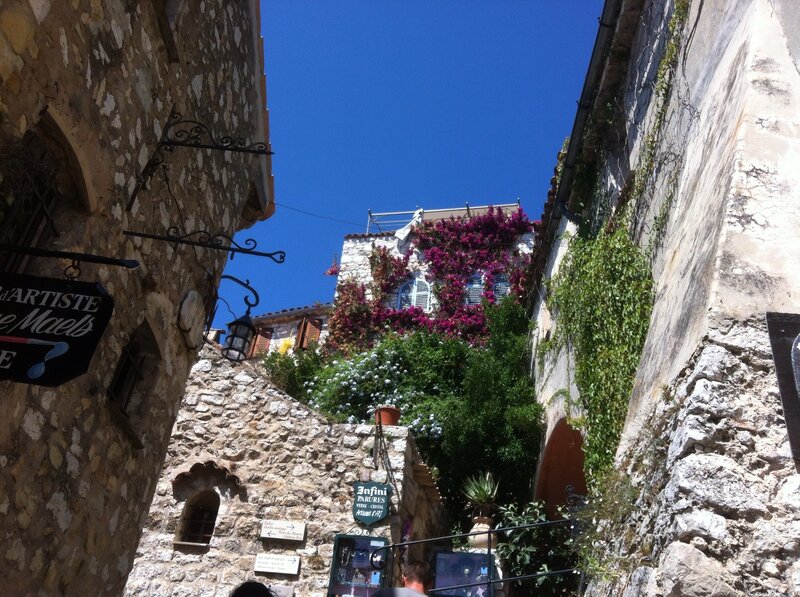Stone Alley with Flowers — Blue