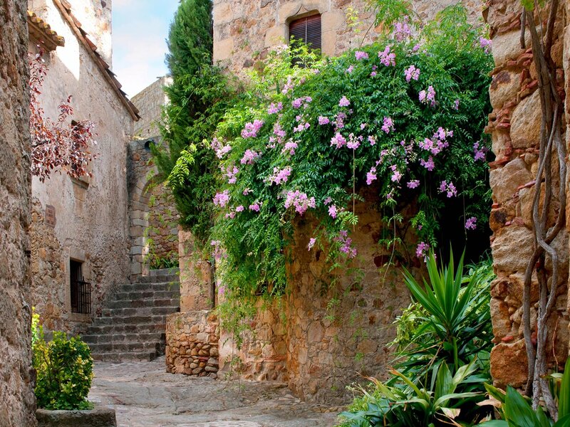 Stone Alley with Flowers — Green