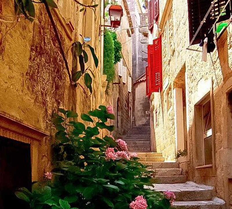Stone Alley with Flowers — Yellow