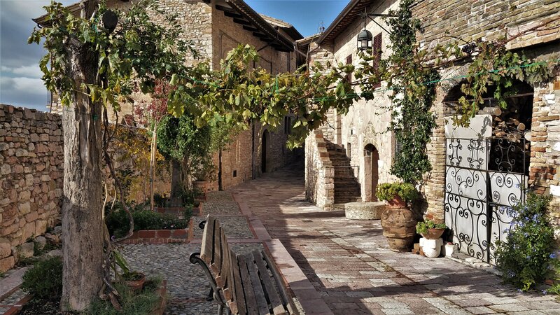 Stone Alley with Vines