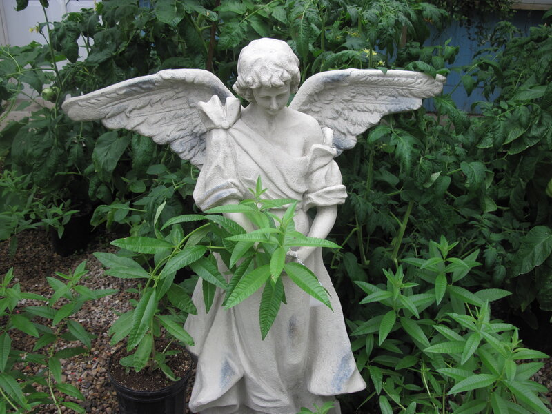 Stone Angel Statue — Green, Serene