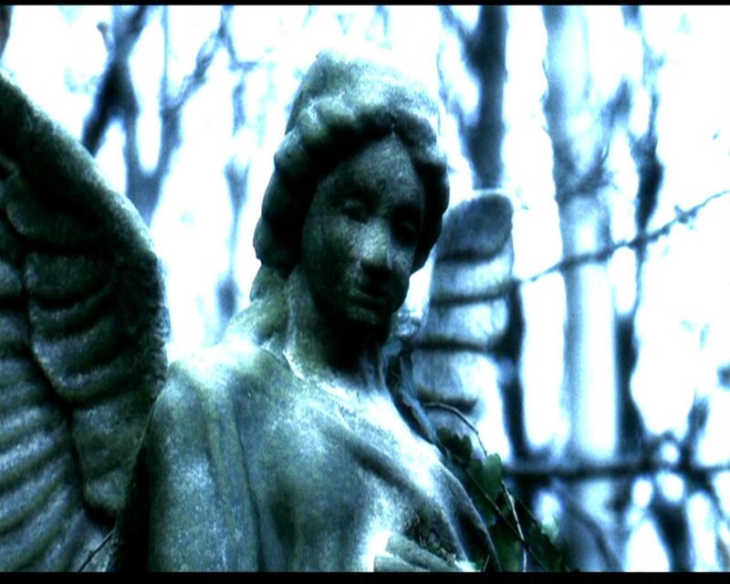 stone angel statue in forest