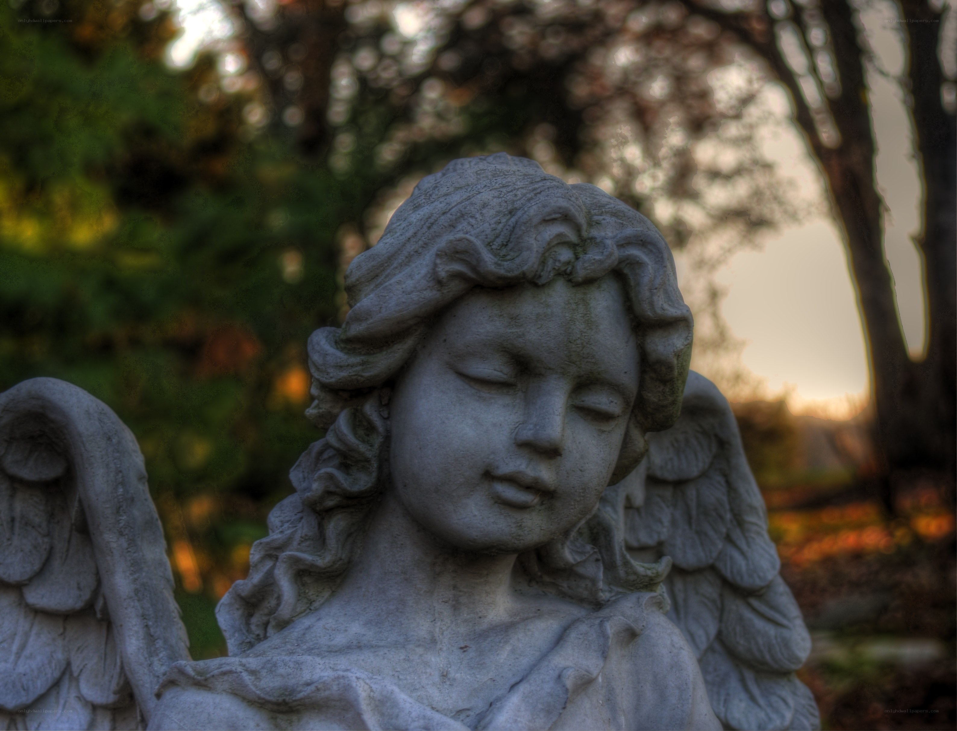 stone angel statue in garden
