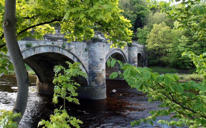 Stone Arch Bridge — Green, Serene, Spring, Photograph