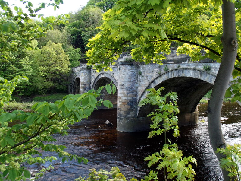 Stone Arch Bridge — Green, Serene, Spring