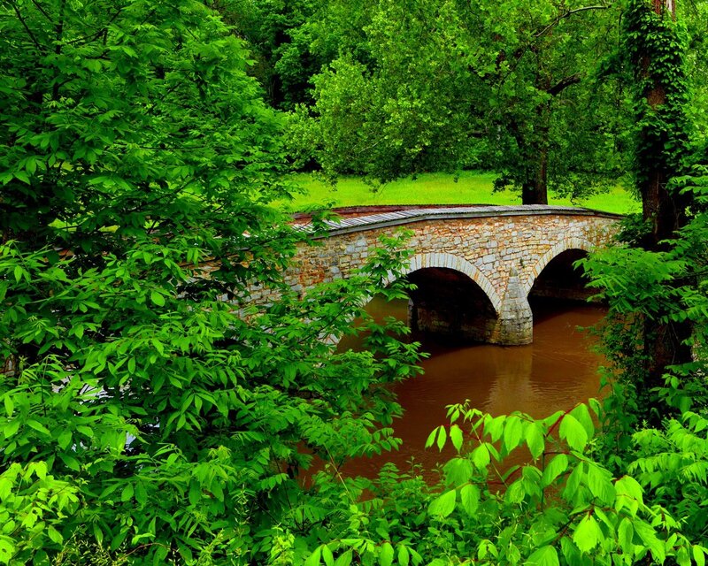 Stone Arch Bridge — Green, Serene, Summer, Photograph, River, Trees