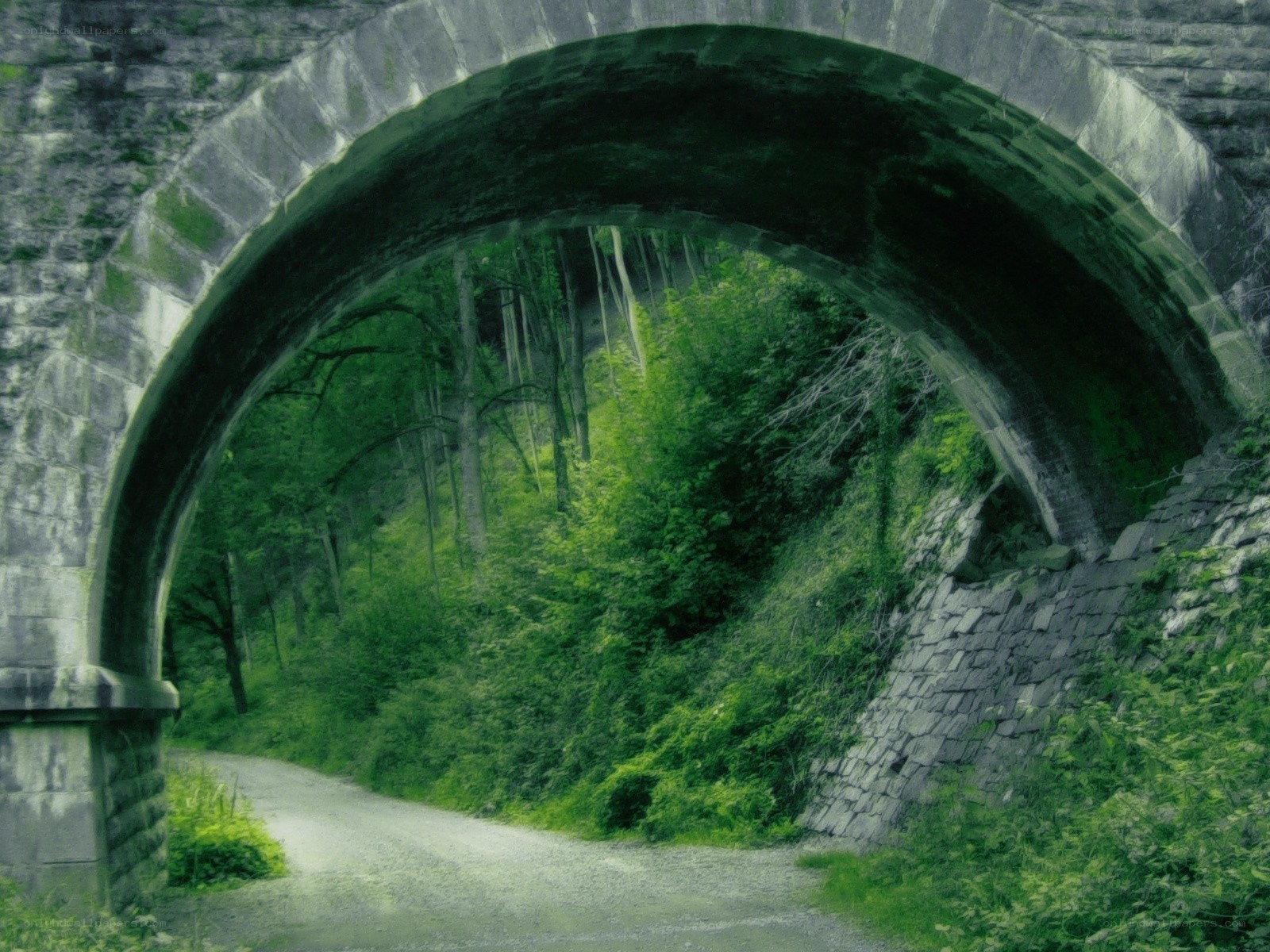 Stone arch bridge in forest