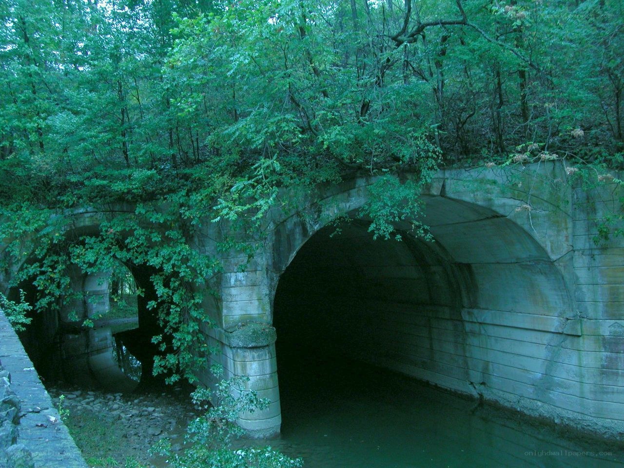 Stone arch bridge in forest