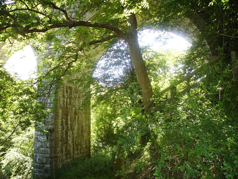 Stone arch bridge in forest