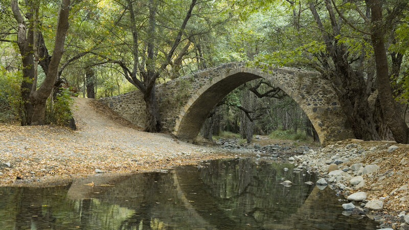 Stone Arch Bridge in Forest — Green, Serene