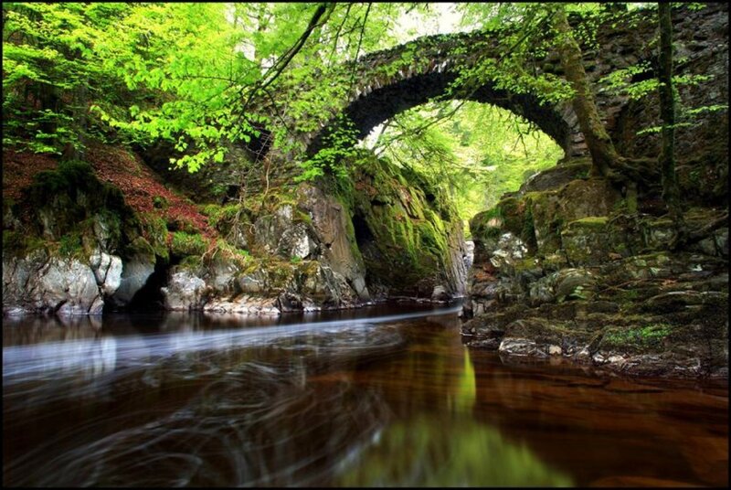 Stone Arch Bridge in Forest — Green