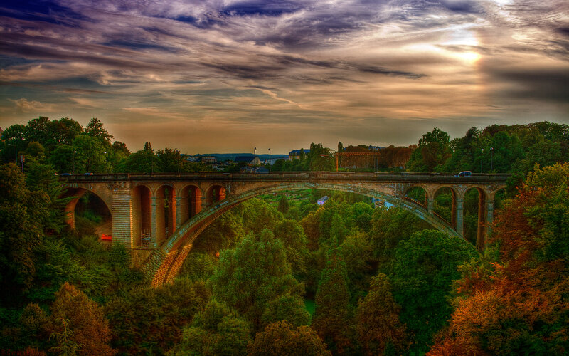 Stone arch bridge over forest