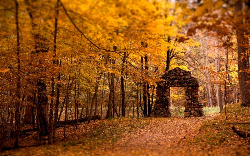 Stone Arch in Autumn Forest