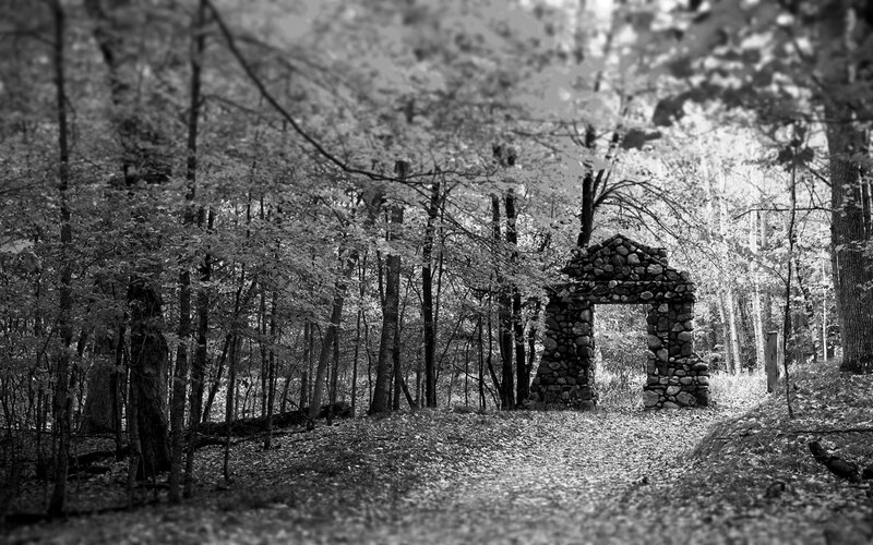 Stone Arch in Forest — Black