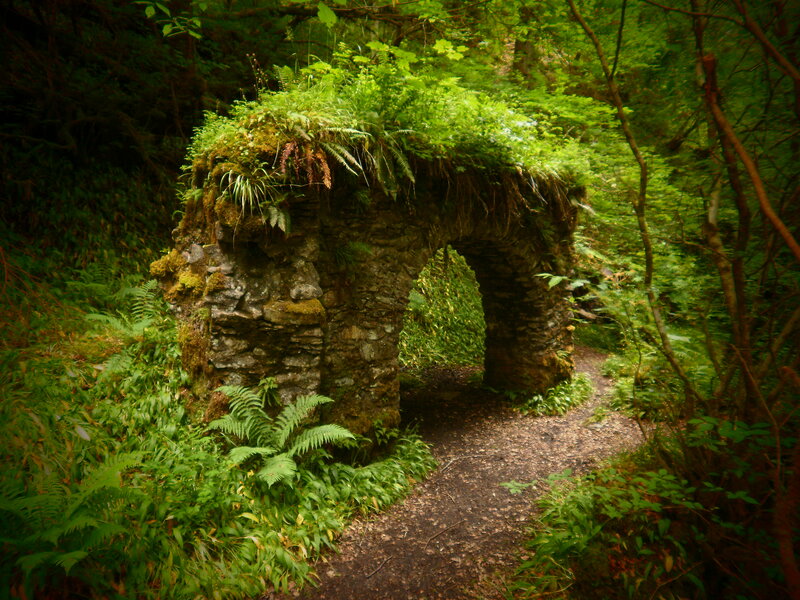 Stone Arch in Forest — Green