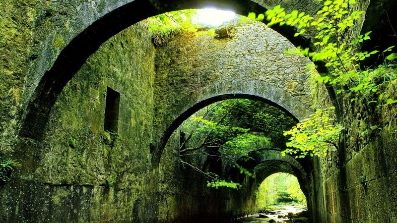 Stone Arch Tunnel — Green, Serene